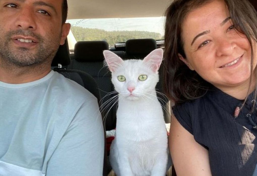 Nakilli Böbreğini Kaybeden Hastaya Hayat Arkadaşından İkinci Şans